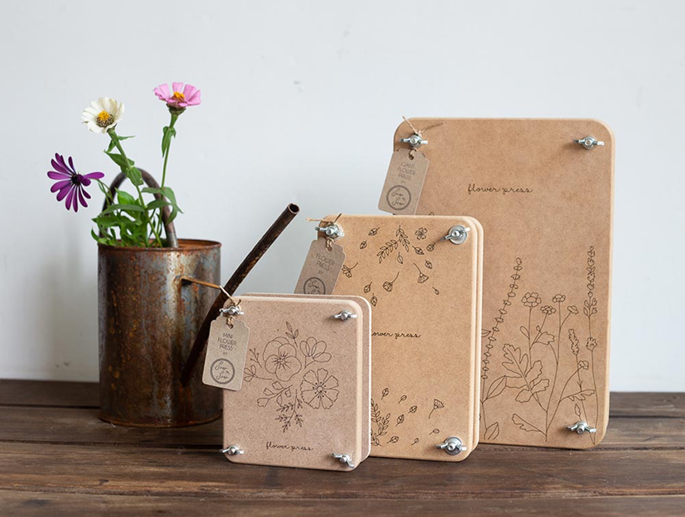 
                      
                        Flower Press | Giant Wild Flower
                      
                    