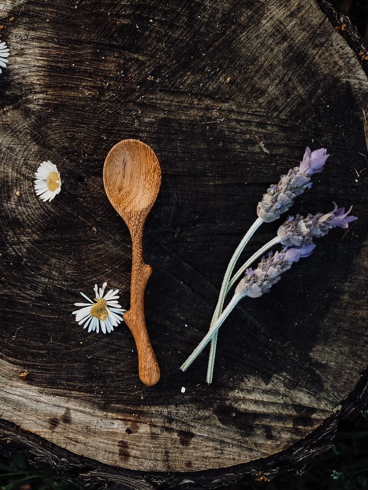 
                      
                        Twiggy | Mini Twig Spoon
                      
                    
