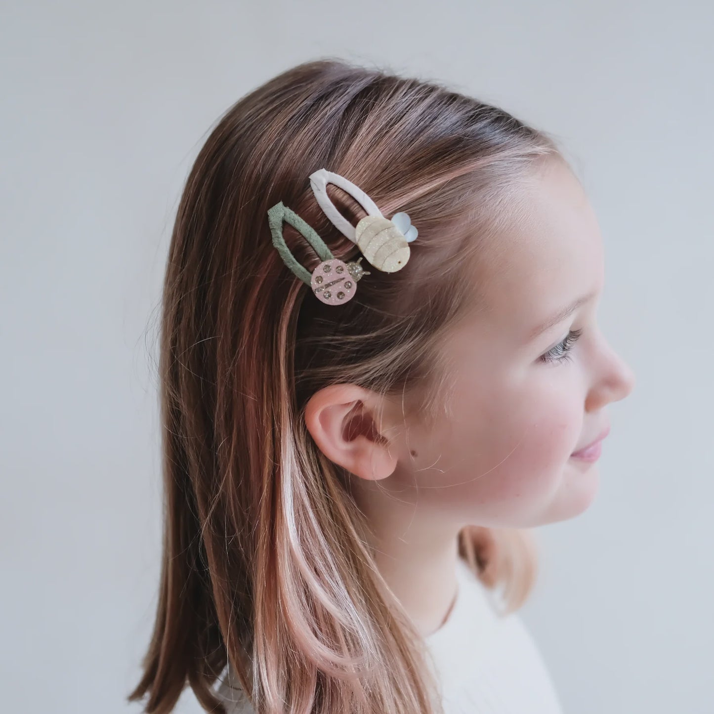 Bee & Ladybird Clip Pack