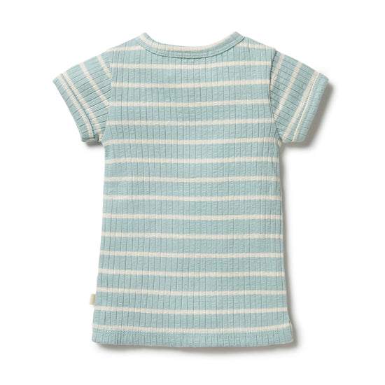 Organic Stripe Rib Top | Pistachio