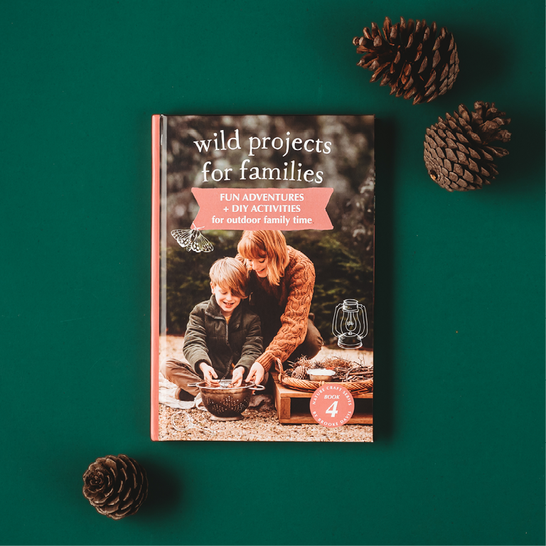 Wild Projects For Families | Fun Adventures + DIY Activities