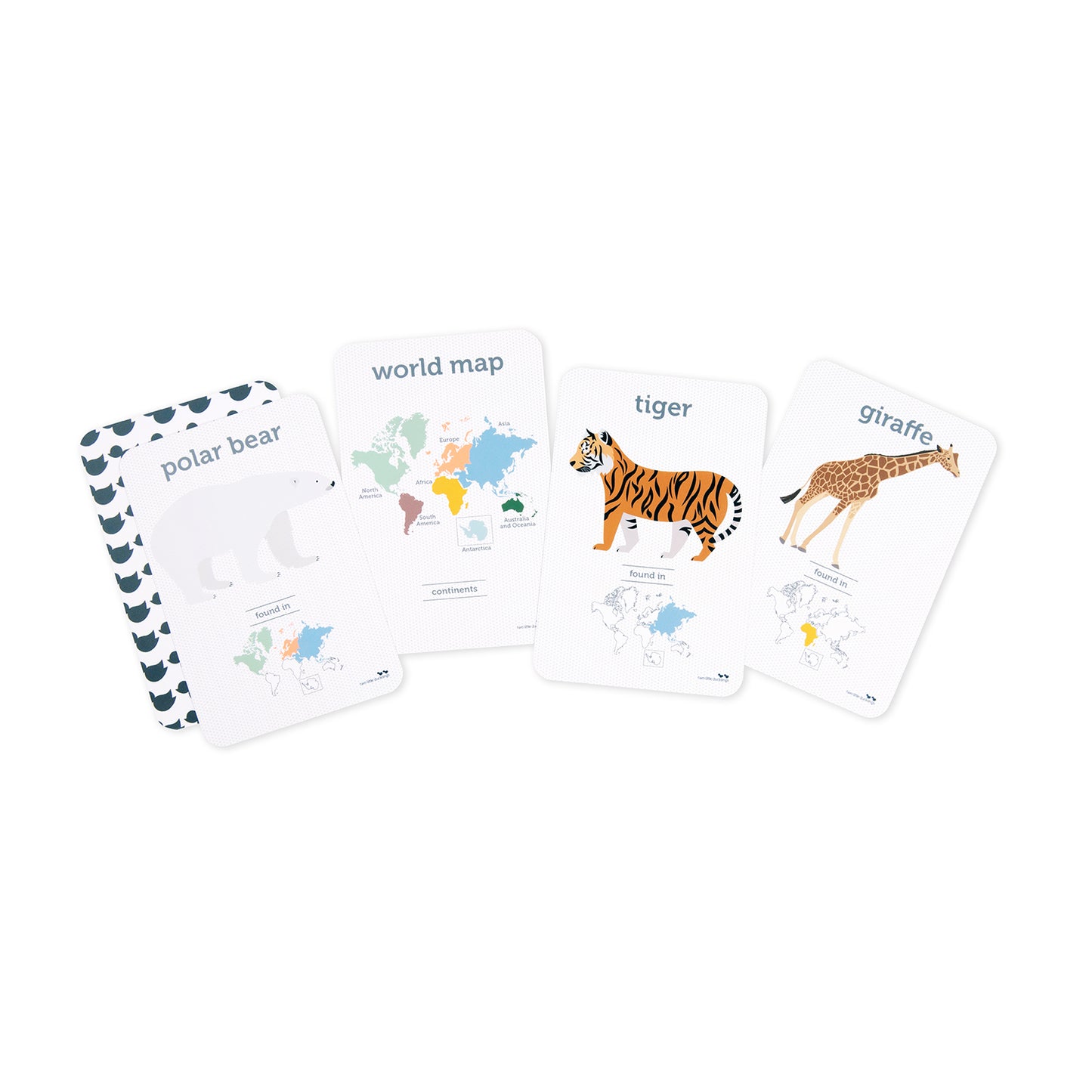 World Animals | Flash Cards