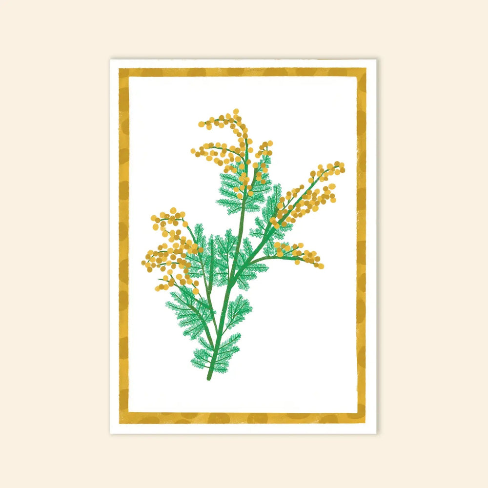 Greeting Card | Wattle