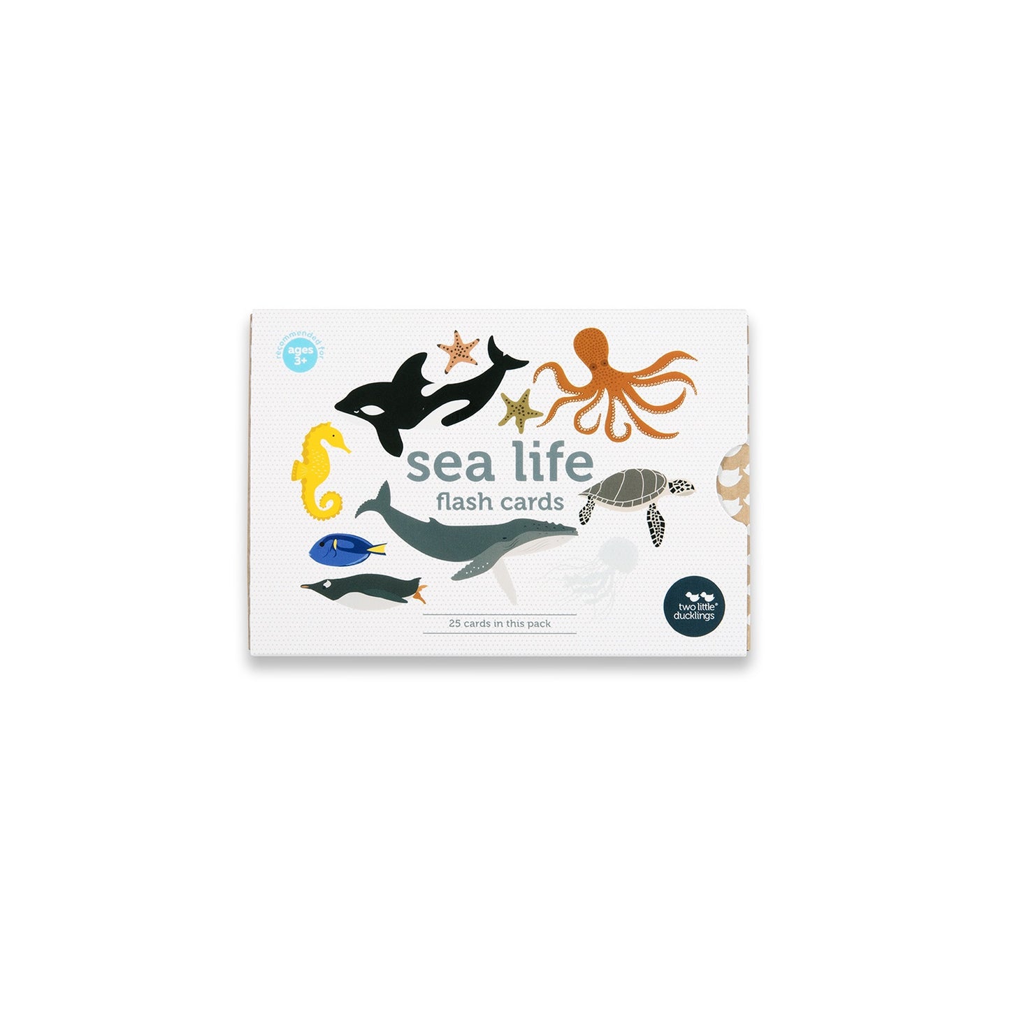 Sea Life | Flash Cards