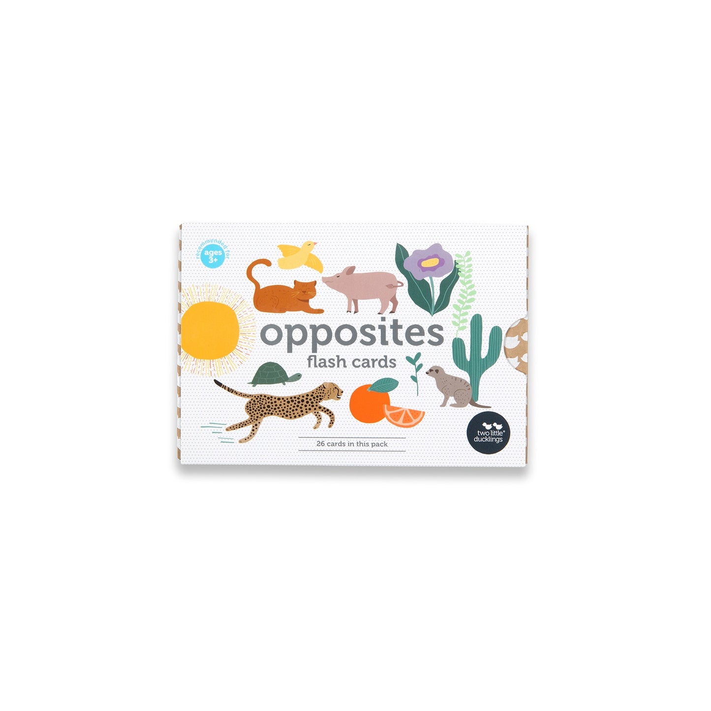 Opposites | Flash Cards