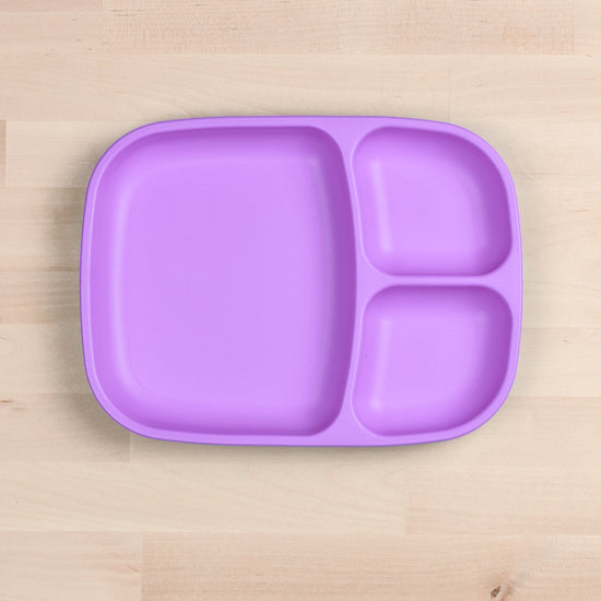 Load image into Gallery viewer, Divided Tray | Purple

