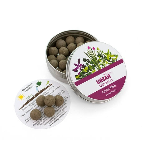 Seed Balls | Kitchen Herbs