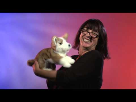 
                      
                        Load and play video in Gallery viewer, Puppet | Wolf Pup
                      
                    