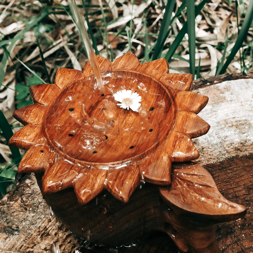 
                      
                        Sun Strainer
                      
                    