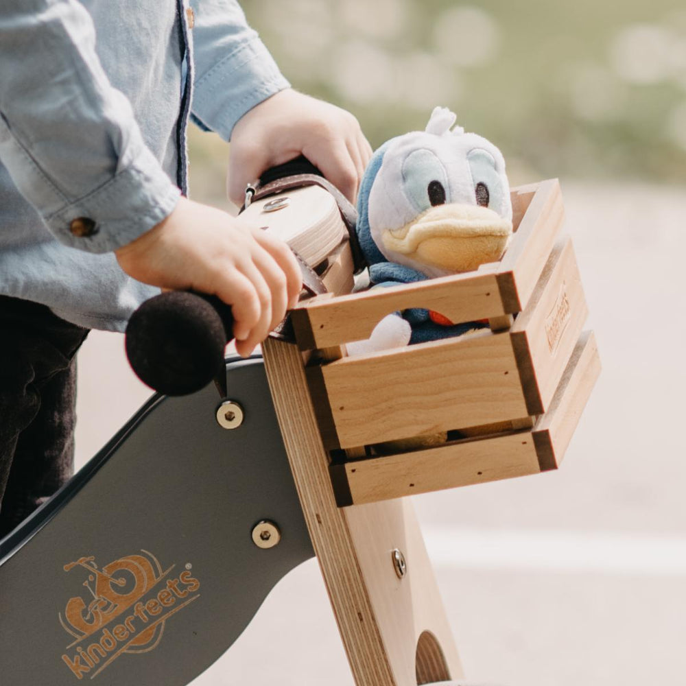 
                      
                        Bike & Trike Crate
                      
                    